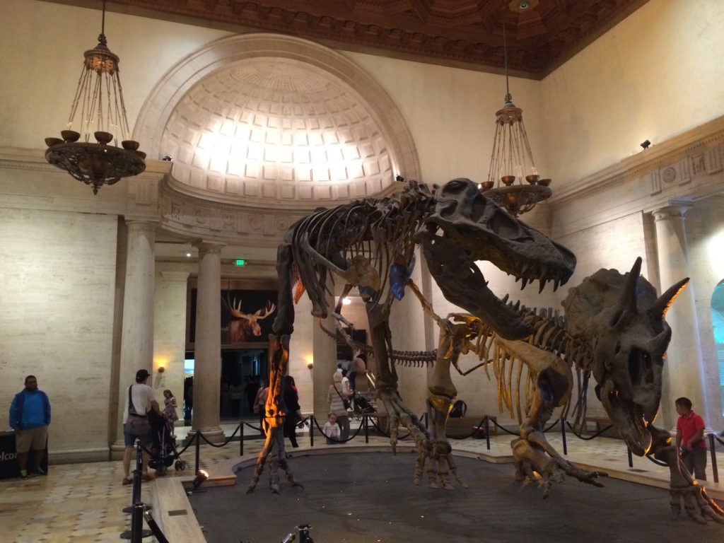 Dinosaurs at the Natural History Museum of Los Angeles.