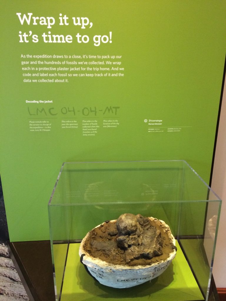 Wrap it up, it's time to go! Natural History Museum of Los Angeles.