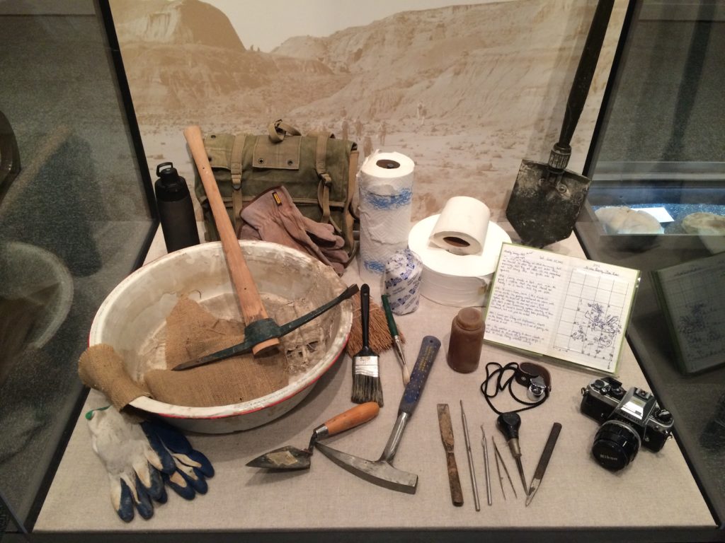 Field equipment. Smithsonian National Museum of Natural History, Washington, D.C.